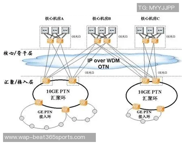 深度分析武汉羽毛球队的运营策略与市场推广模式