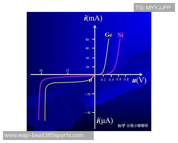 运动数据南京羽毛球队的力量与潜力分析聚焦于技术与团队协作的深度探讨
